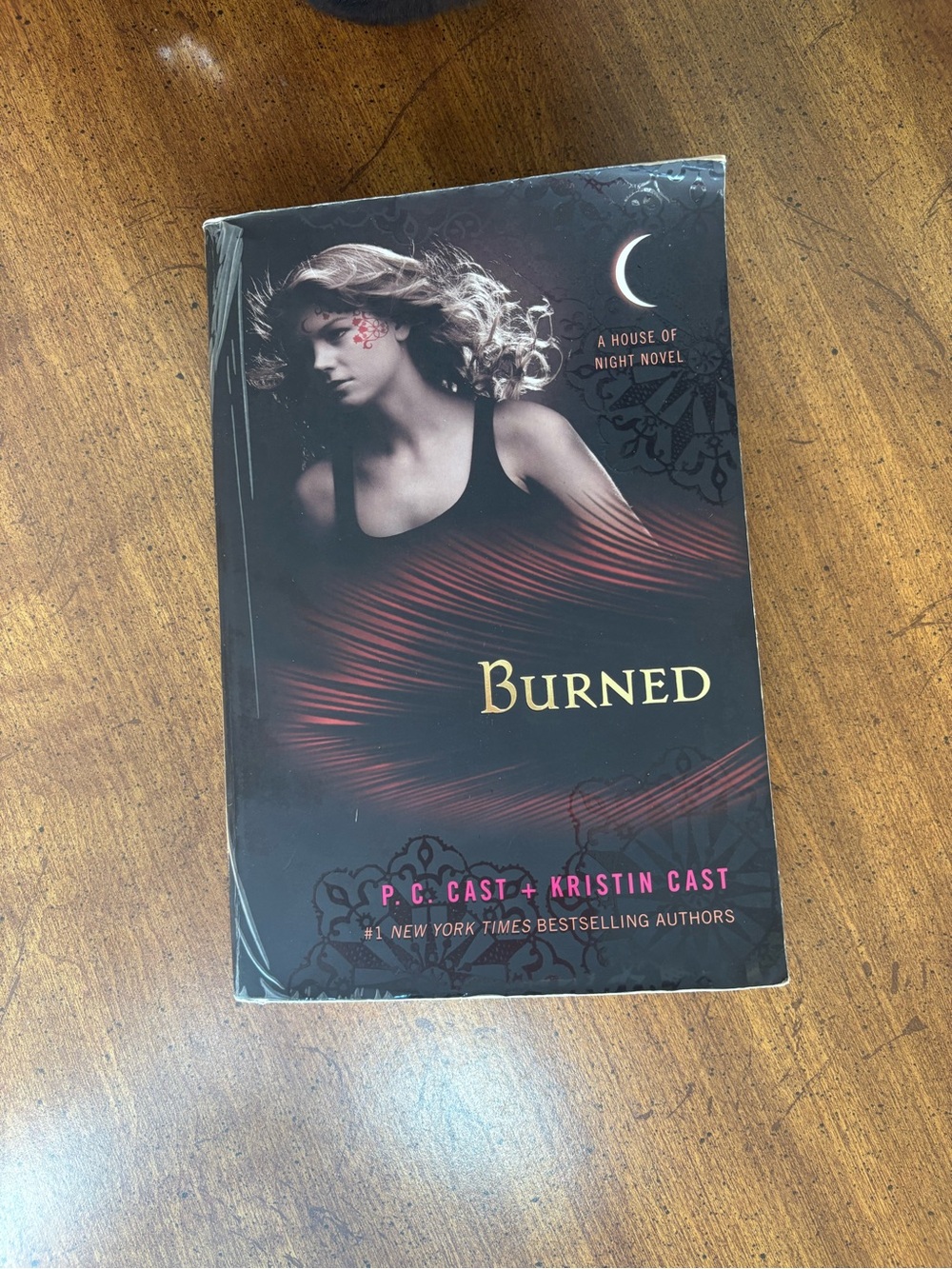 Burned - Black and Red Young Adult Novel by